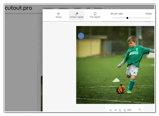 Cutout.pro